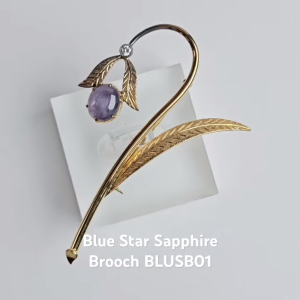 BLUE STAR SAPPHIRE BROOCH 01